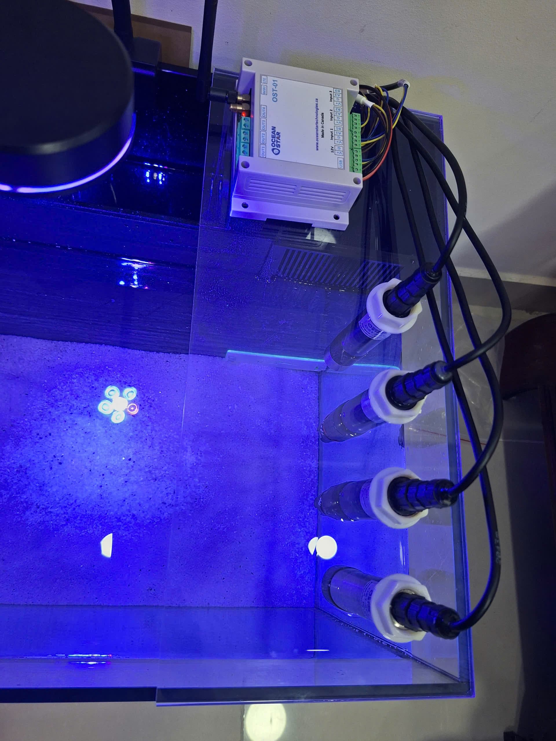 OceanStar prototype sensors deployed in a test aquarium